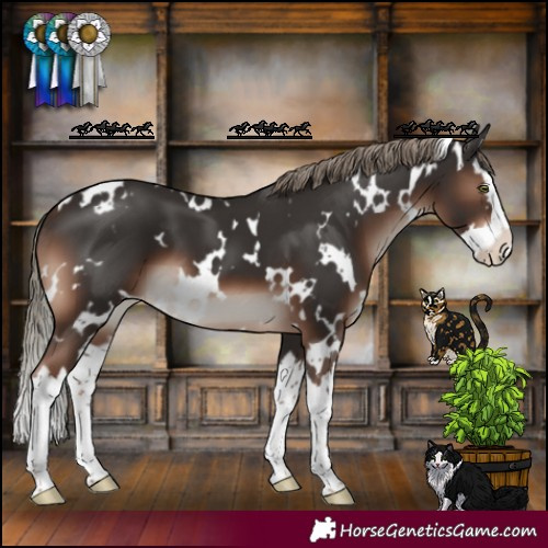 Horse Color:White Spotted Liver Chestnut Mushroom Splash 