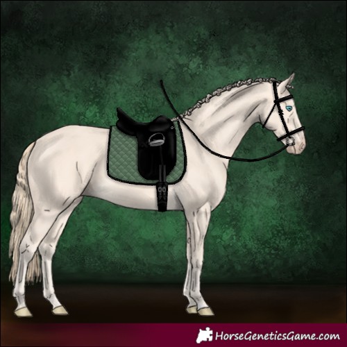 Horse Color:Perlino 