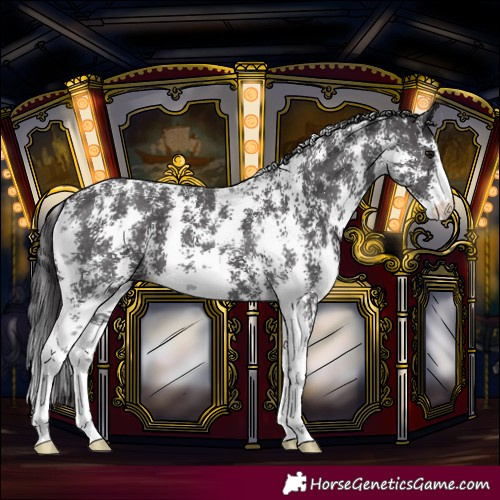 Horse Color:Smoky Black Sabino 
