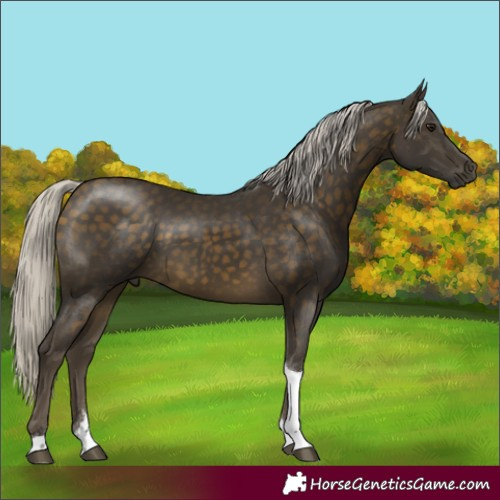 Horse Color:Silver Buckskin Tobiano