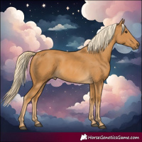 Horse Color:Palomino Rabicano 
