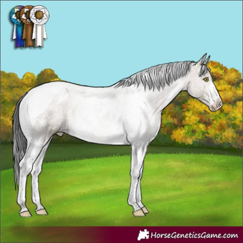Horse Color:Brown Dun Sabino Tobiano Blanket Rabicano