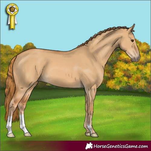 Horse Color:Red Dun