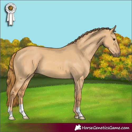 Horse Color:Red Dun 