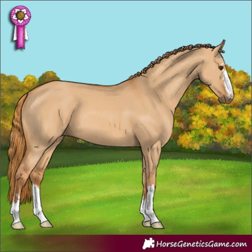 Horse Color:Red Dun 