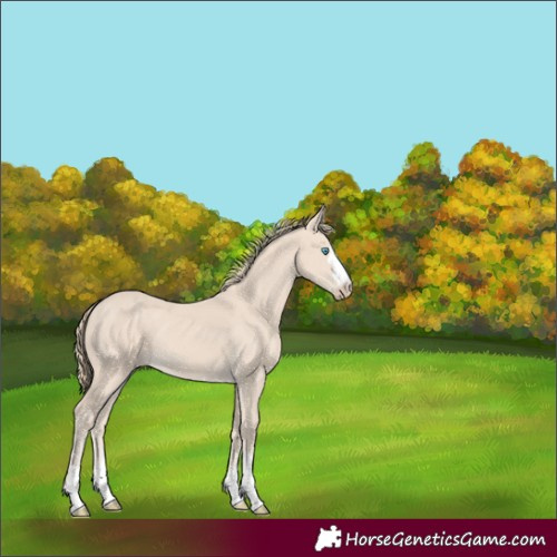 Horse Color:Smoky Creme 