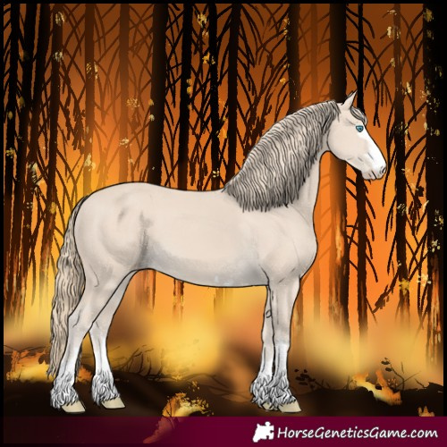 Horse Color:Smoky Creme 