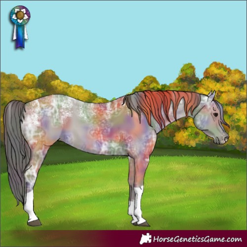 Horse Color:Powder White Nacre Smoky Grullo Ice Tobiano 