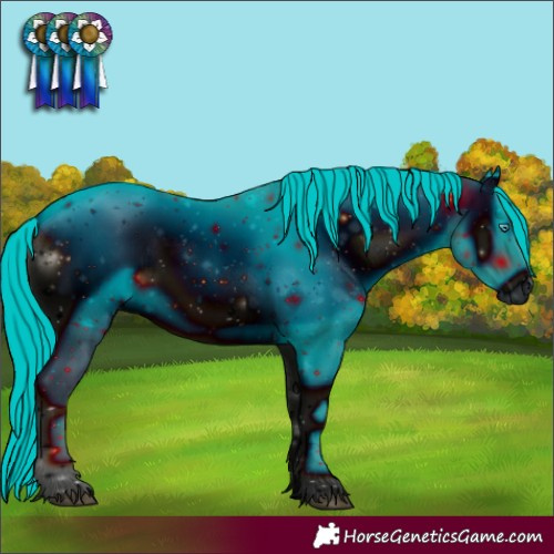 Horse Color:ERROR: UNKNOWN ANOMALY