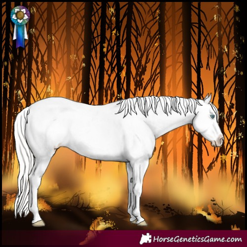 Horse Color:Silver Perlino Sabino Near Leopard Rabicano