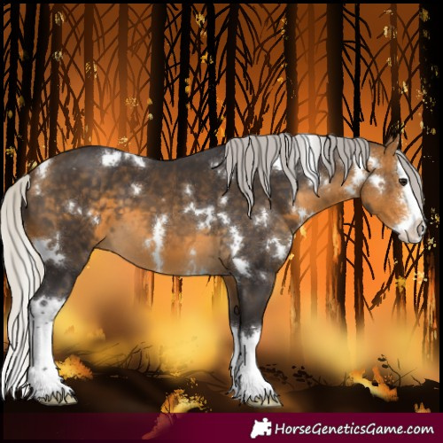 Horse Color:White Spotted Silver Buckskin Sabino Splash