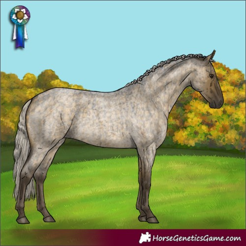 Horse Color:Silver Buckskin Roan Dun Brindle