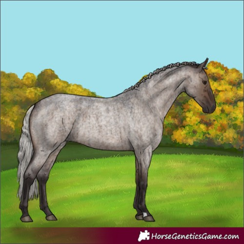 Horse Color:Silver Brown Roan Dun Brindle 