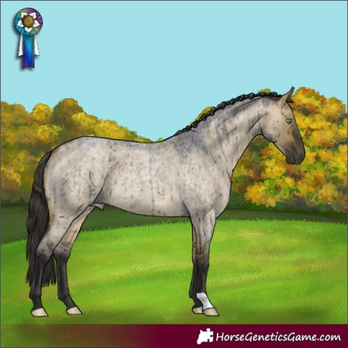 Horse Color:Buckskin Roan Dun Brindle 