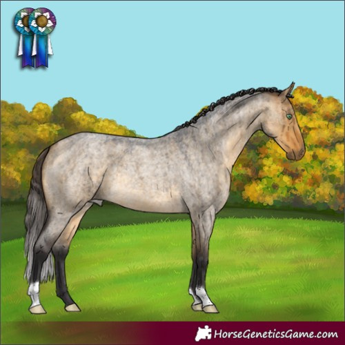 Horse Color:Buckskin Roan Dun Brindle 