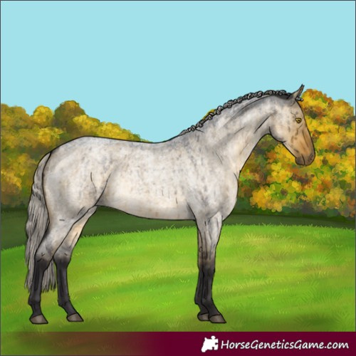 Horse Color:Silver Buckskin Roan Dun Brindle 