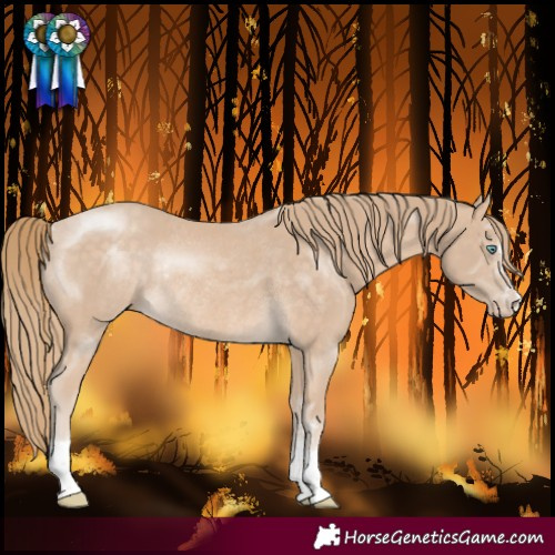Horse Color:Perlino Rabicano
