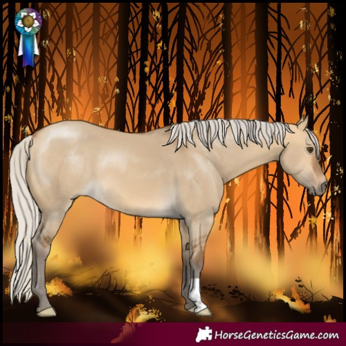 Horse Color:Silver Buckskin Dun 