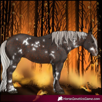 Horse Color:White Spotted Silver Brown Sabino