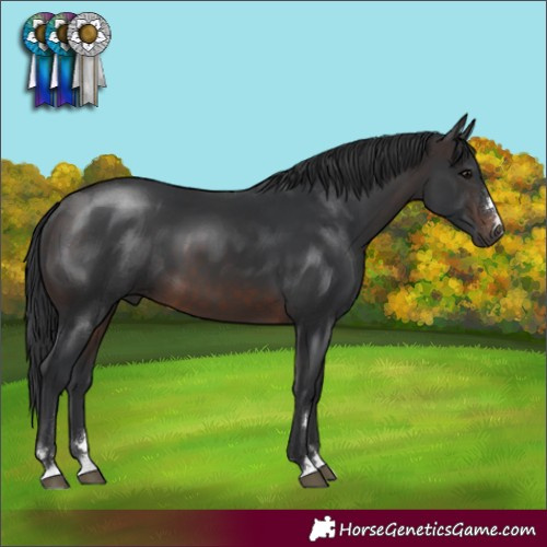 Horse Color:Brown 
