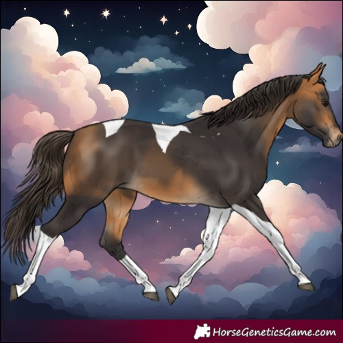 Horse Color:Buckskin Tobiano