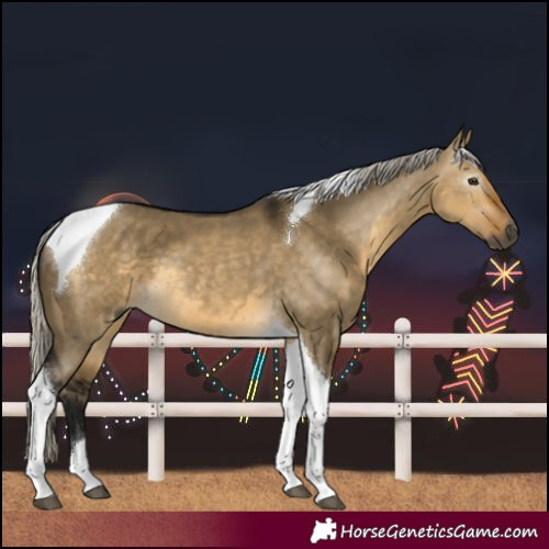 Horse Color:Unknown 