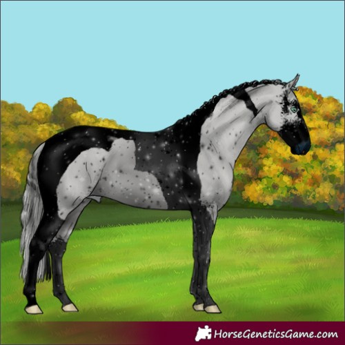Horse Color:ERROR: UNKNOWN ANOMALY