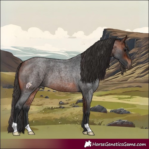Horse Color:Bay Roan