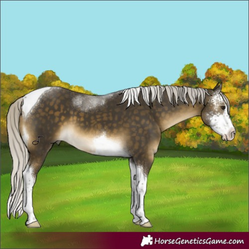 Horse Color:Silver Buckskin Sabino Tobiano 