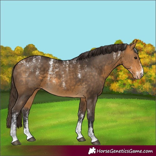Horse Color:Powder White Buckskin Varnish 