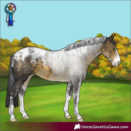 Horse Color:Powder White Buckskin