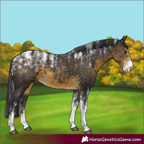 Horse Color:Powder White Buckskin