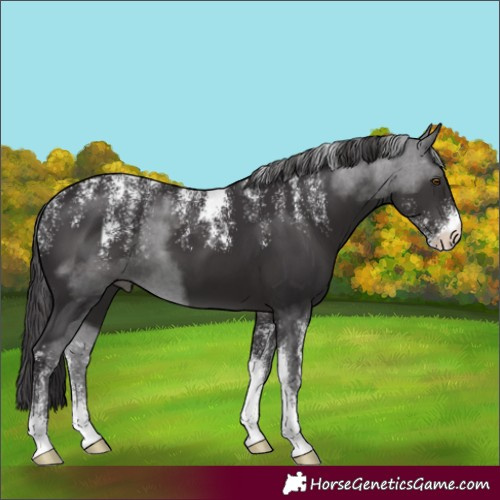 Horse Color:Powder White Smoky Black 
