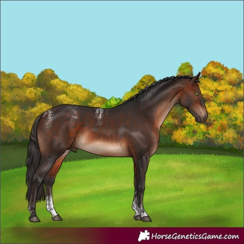 Horse Color:Powder White Brown 