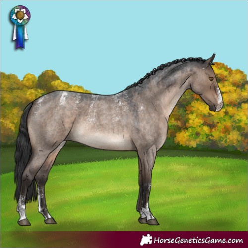 Horse Color:Powder White Brown Roan Dun 