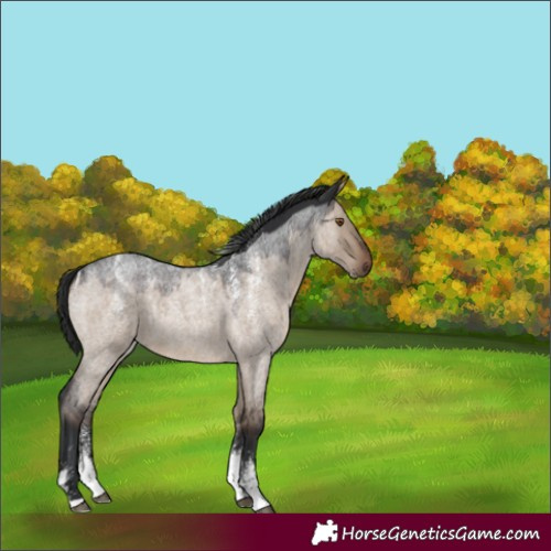 Horse Color:Powder White Brown Roan Dun 