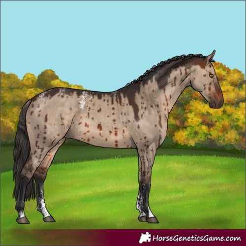 Horse Color:Powder White Brown Dun Brindle 