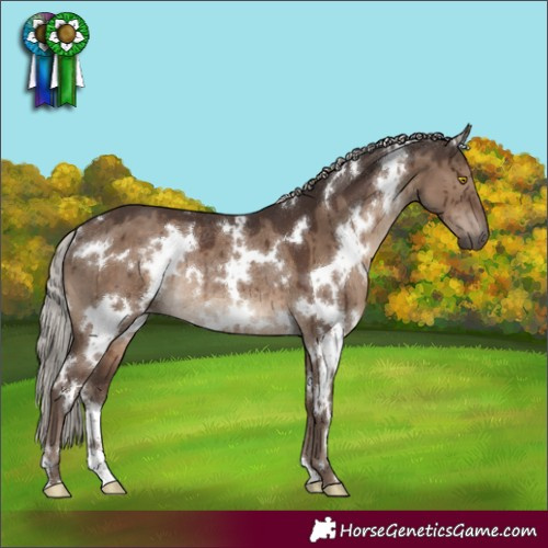 Horse Color:White Spotted Silver Grullo Rabicano Brindle