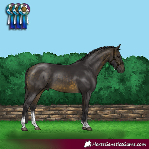 Horse Color:Buckskin Tobiano Rabicano