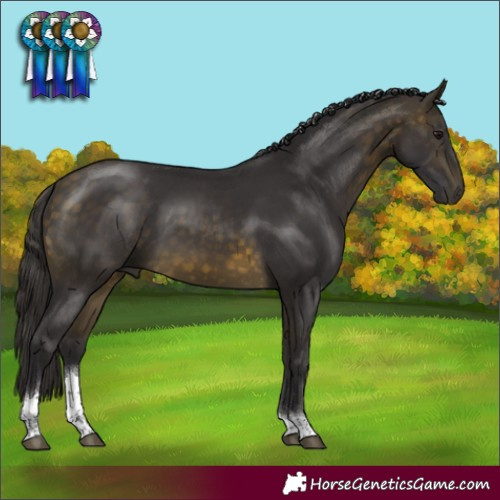 Horse Color:Buckskin Tobiano Rabicano