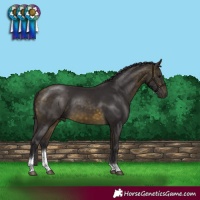 Horse Color:Buckskin Tobiano Rabicano 