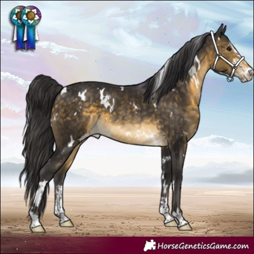 Horse Color:White Spotted Buckskin Sabino