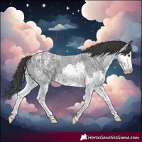 Horse Color:Blue Ice Roan Splash 