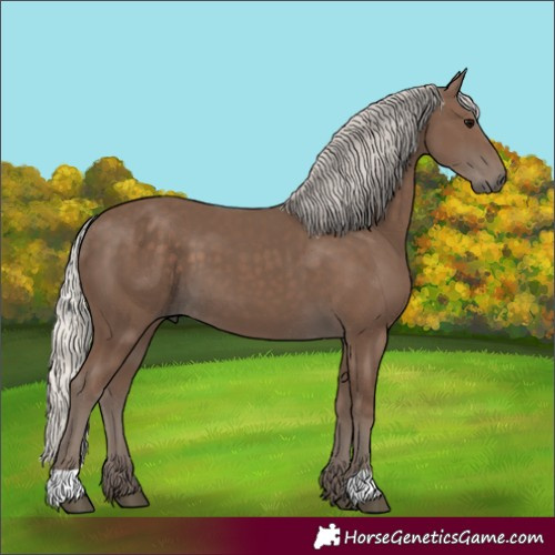 Horse Color:Silver Black 