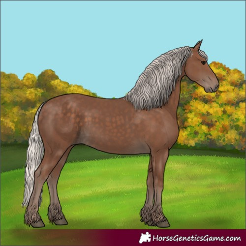 Horse Color:Silver Black 