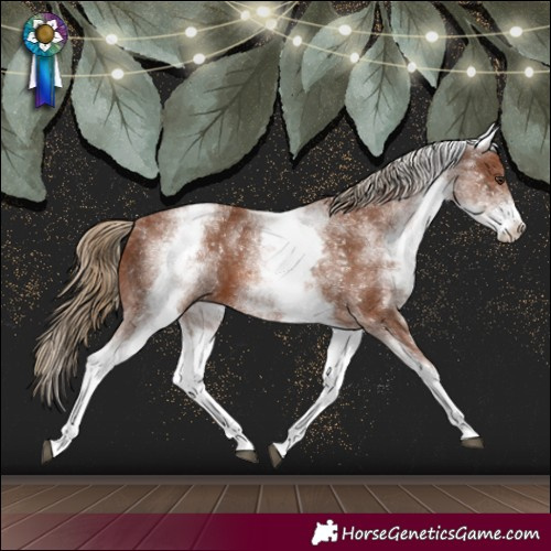 Horse Color:White Spotted Chestnut