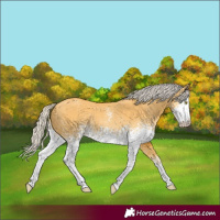 Horse Color:White Spotted Silver Buckskin Dun Rabicano 