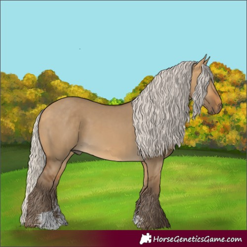 Horse Color:Silver Buckskin Dun Sabino