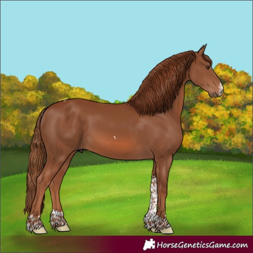Horse Color:Chestnut Tobiano 