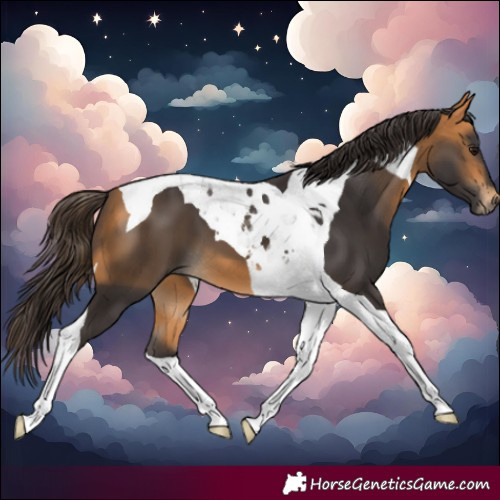 Horse Color:Buckskin Tobiano 